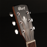 Cort Guitar